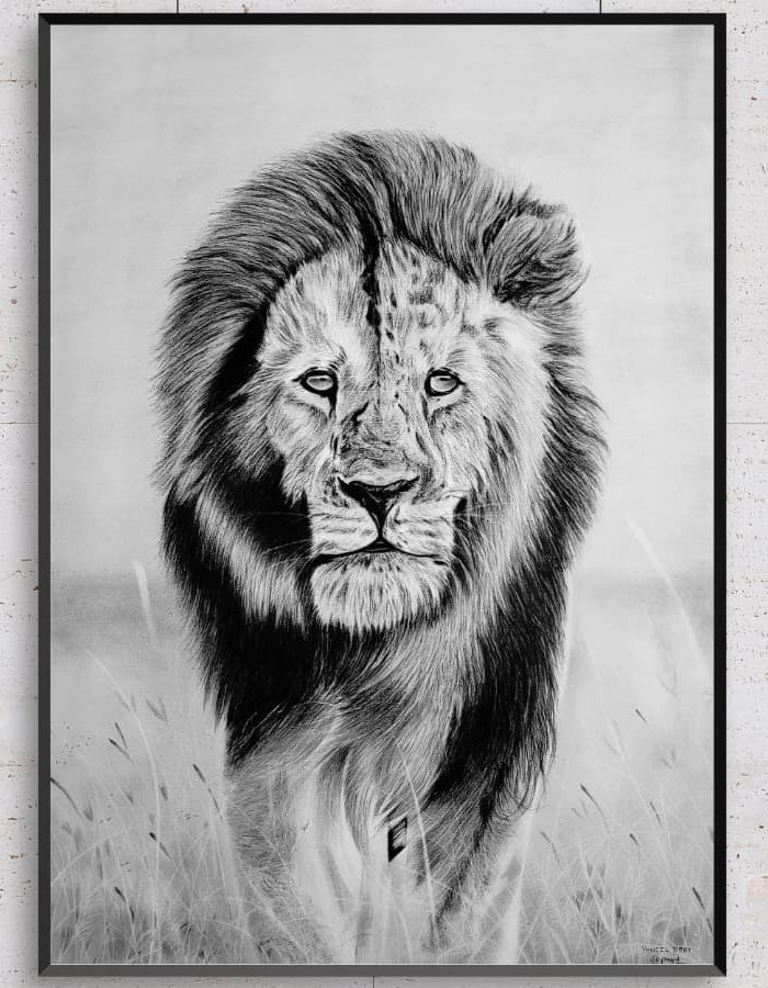 C.L. Jangid (Utkarsh), founder artist of Pencil Beat, Jaipur
